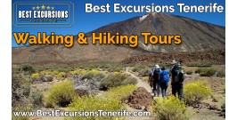 Excursiones a pie y senderismo en Tenerife
